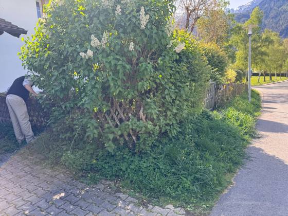 Zaunbau Bayerisch Gmain – Bild 2